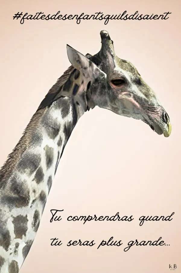 K.B KIDS - Photographie animalière et expressions parentales