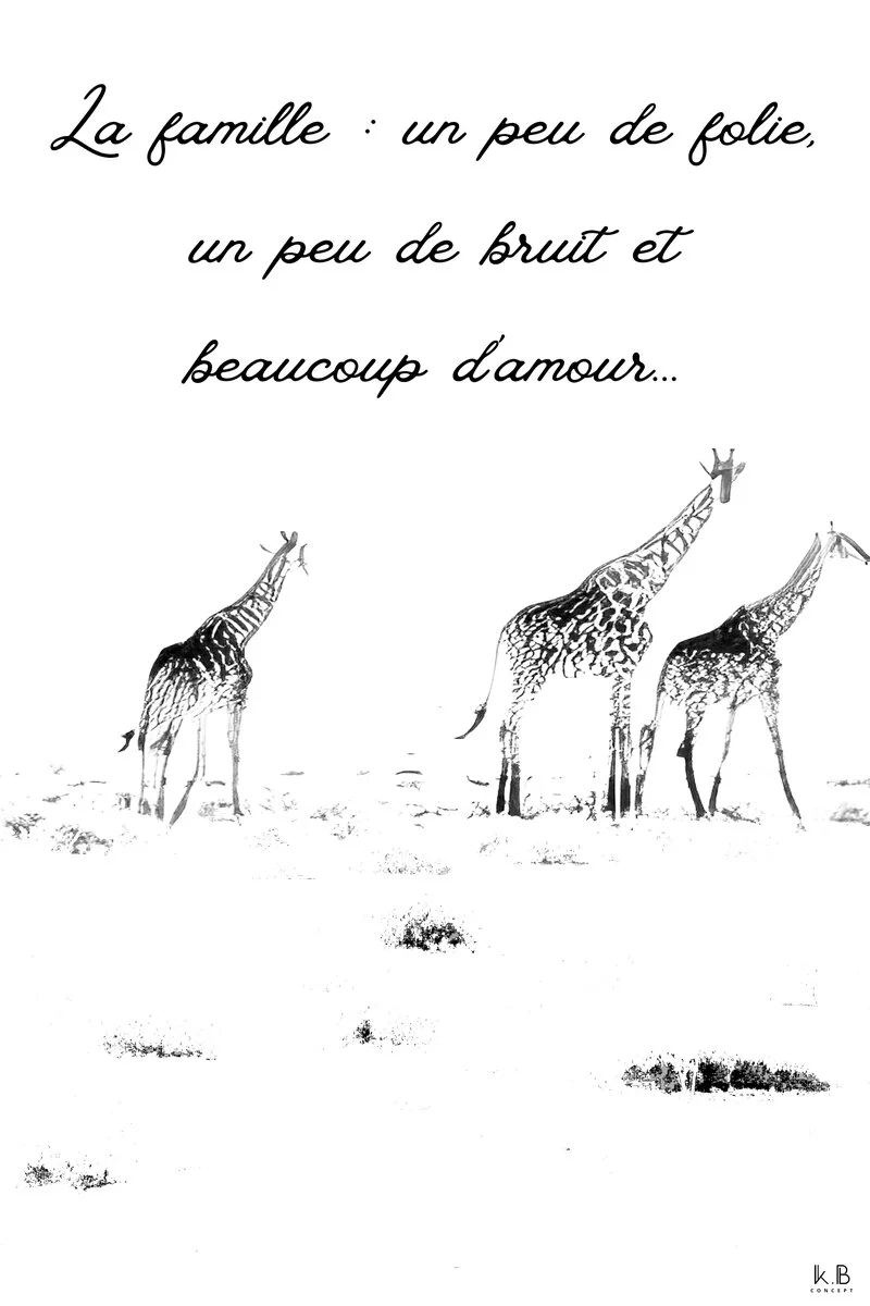 La famille — girafes Namibie faune sauvage, K.B CONCEPT