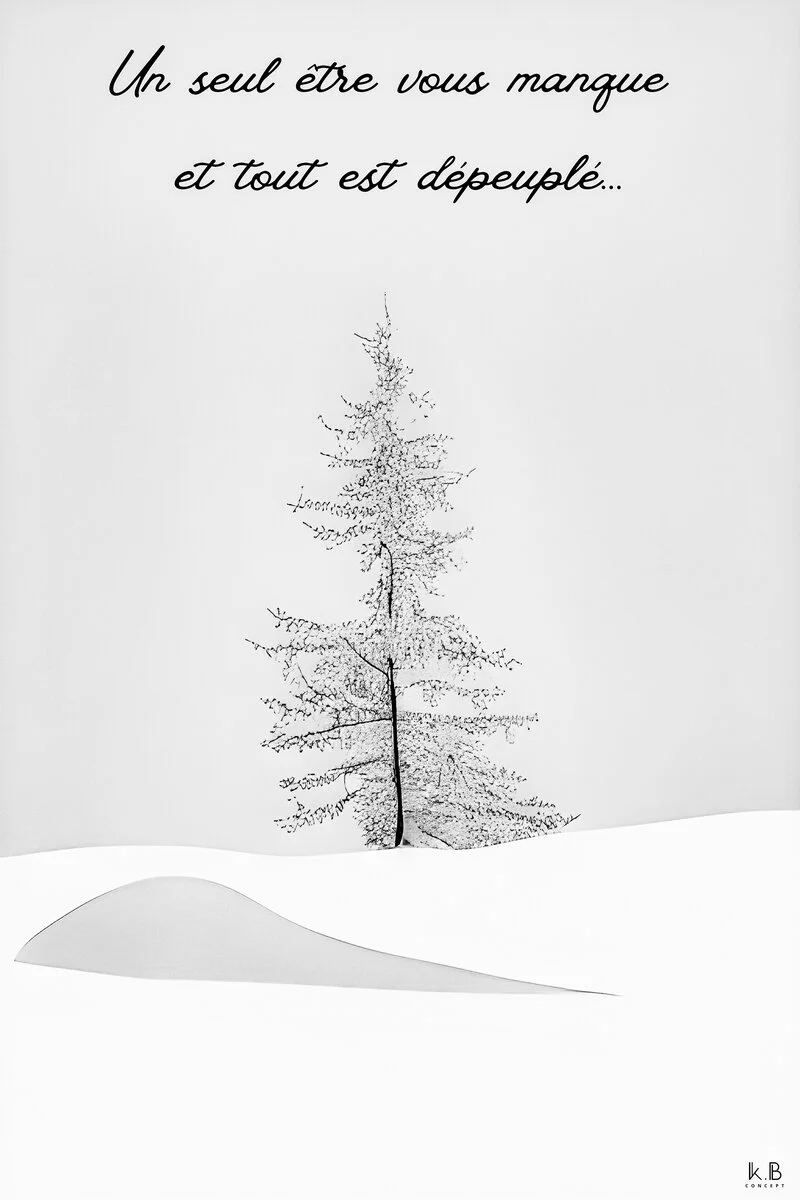 Le manque — sapin solitaire Saint-Gervais, K.B CONCEPT