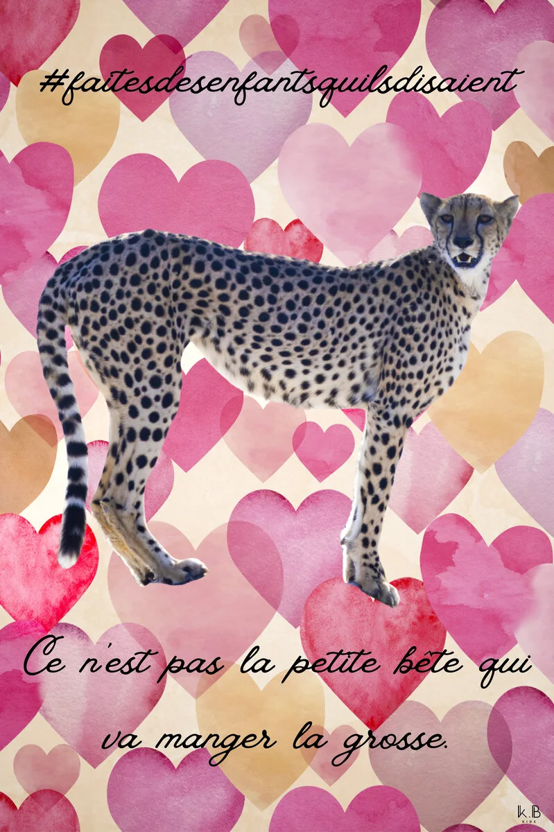 Nénesse la déesse — guéparde Namibie, K.B KIDS