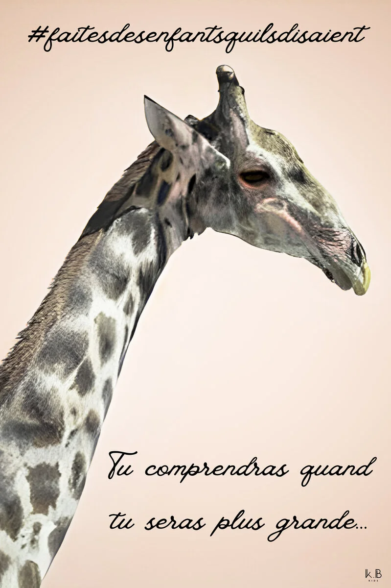 La grande Nanie — animaux Namibie, K.B KIDS