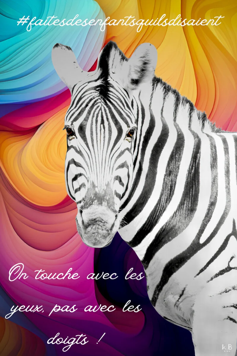 Ben le zèbre Zen — zèbre Namibie, K.B KIDS