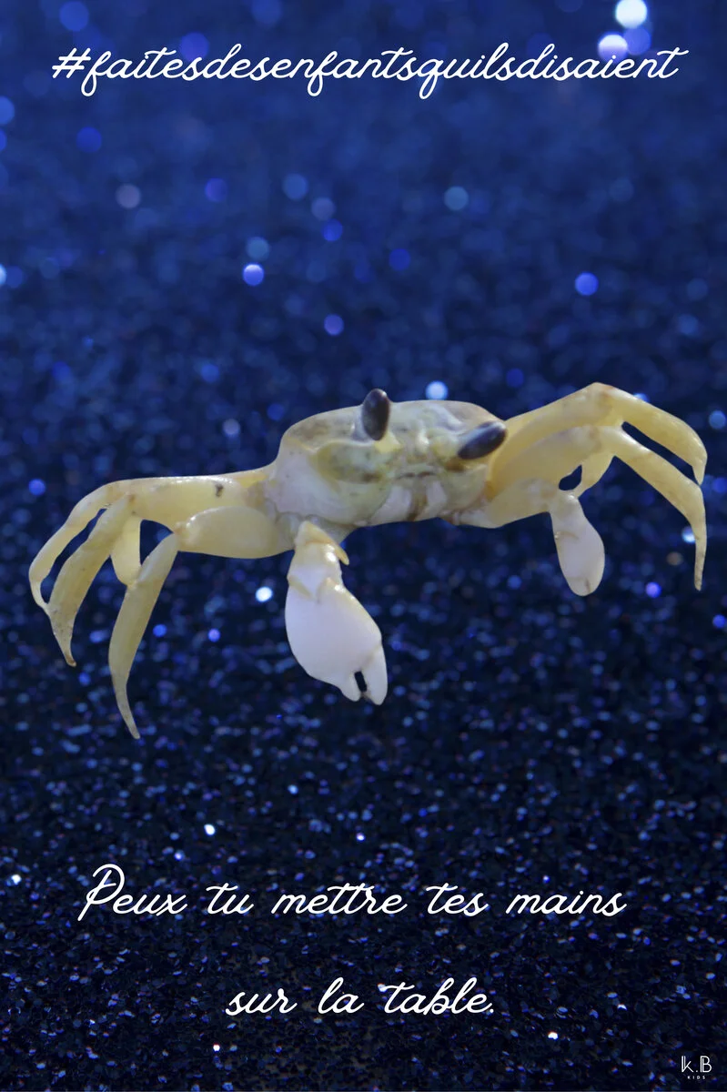 Le beau Carlito — crabe Guadeloupe, K.B KIDS